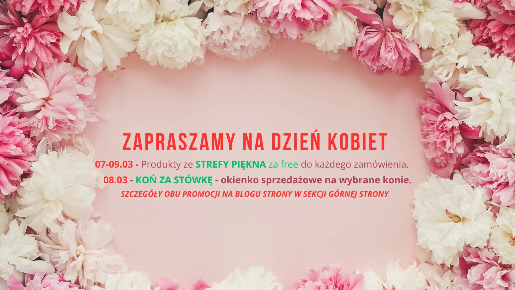 11/91/aa2e56d1d060428b8667b4f1257a.webp